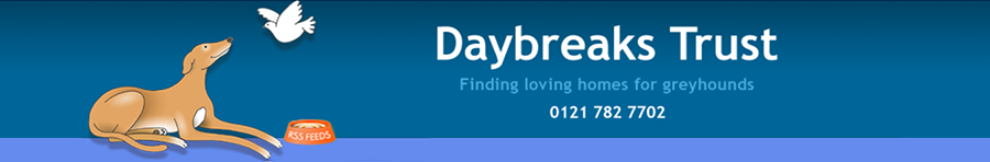 Solihull's Daybreaks Kennels Banner